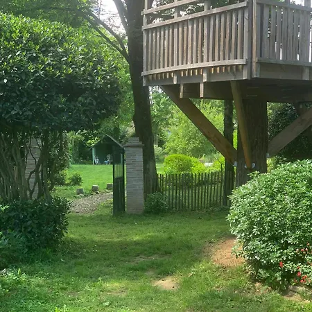 19th Century Mansion With Pool Near Castres *