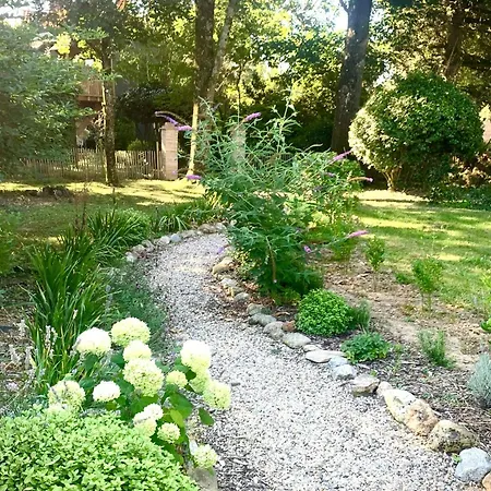 19th Century Mansion With Pool Near Castres 펜션 *