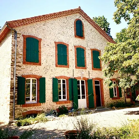 19th Century Mansion With Pool Near Castres