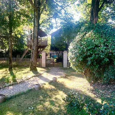 19th Century Mansion With Pool Near Castres *