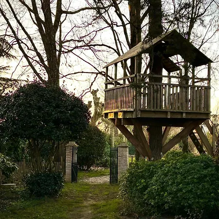 19th Century Mansion With Pool Near Castres Dom wakacyjny Payrin-Augmontel