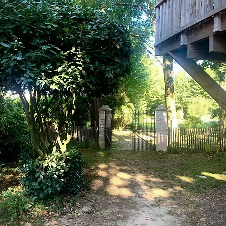 19th Century Mansion With Pool Near Castres Dom wakacyjny