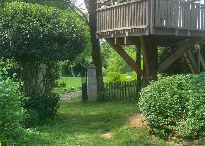 19th Century Mansion With Pool Near Castres *