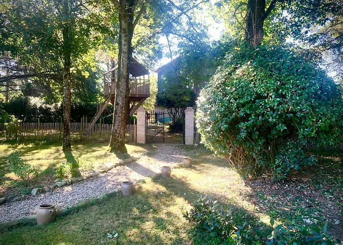 19th Century Mansion With Pool Near Castres *