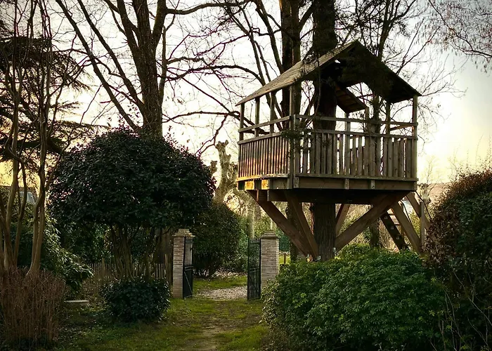 19th Century Mansion With Pool Near Castres Feriehus Payrin-Augmontel
