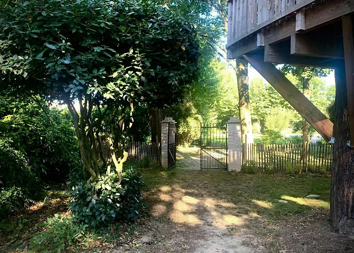 19th Century Mansion With Pool Near Castres Feriehus